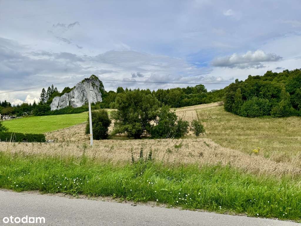 Działka tuż pod Grodziskiem (Skała 502) - Pełny obrazek: 2/6