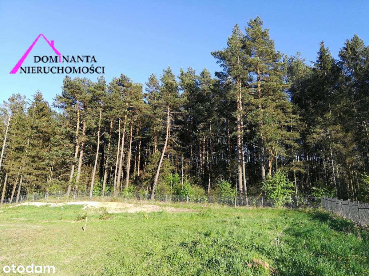 Działka nad morzem, przy lesie z domem-5