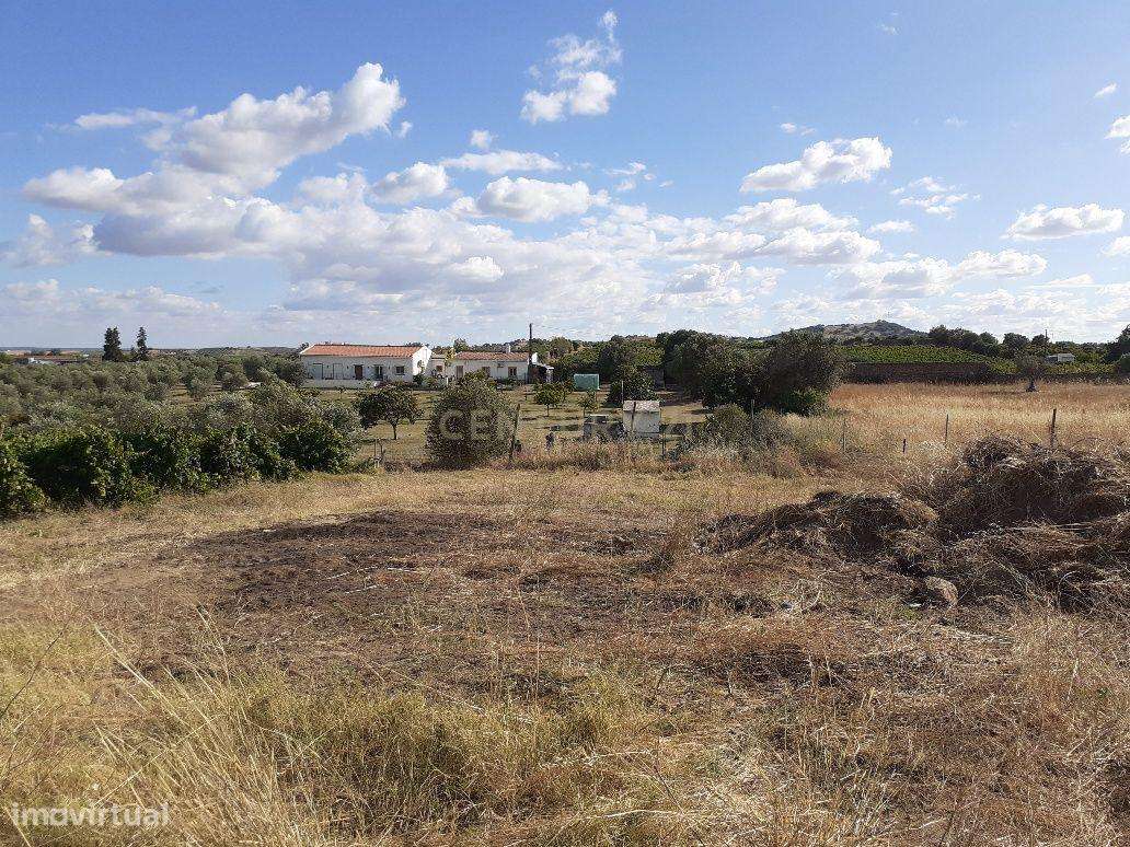 Quinta dos Capuchos, em Vila de Frades - Grande imagem: 4/30