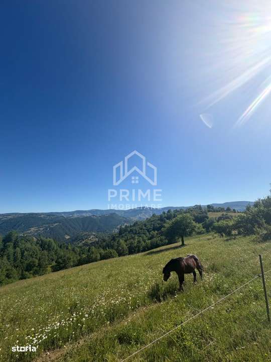 Teren intravilan de vanzare – 11.136 mp | ALBAC | CU POSIBILITATE DE - Imagine principală: 1/3