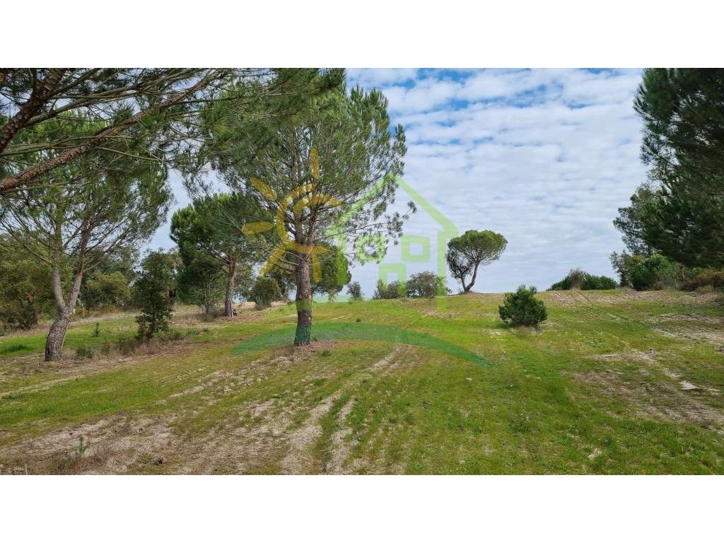 Terreno na Herdade Zambujeiro em Santo Estevão-10