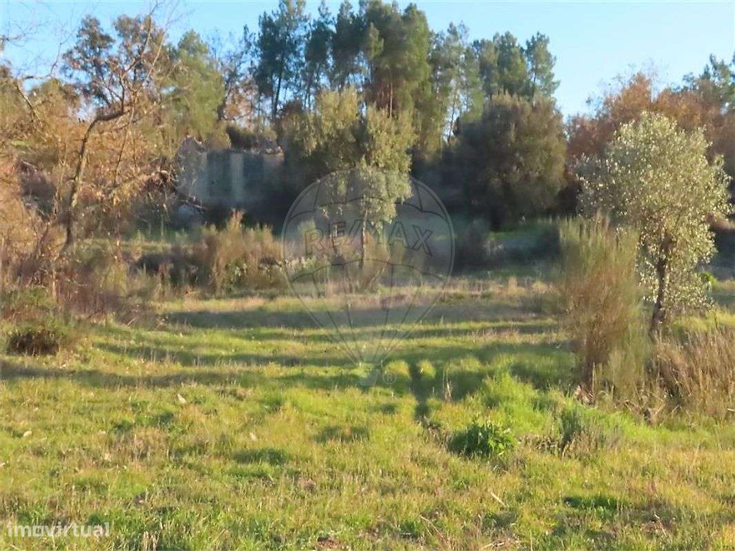 Quinta  para venda - Grande imagem: 5/25