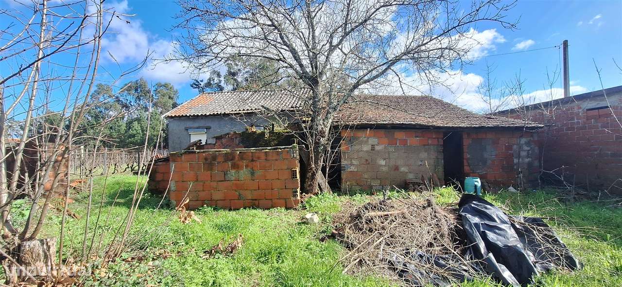 Moradia Devoluta T1 Venda em Molelos,Tondela - Grande imagem: 5/14