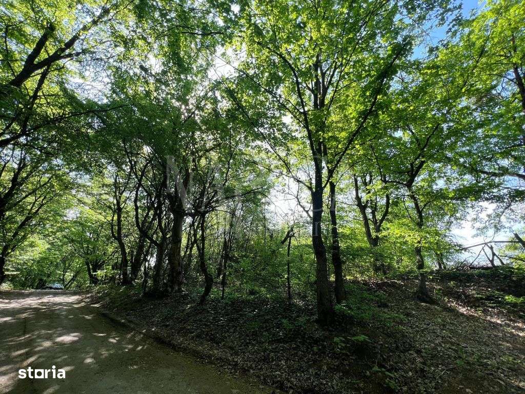 Teren intravilan pentru constructii de vanzare in Grigorescu, Cluj Na - Imagine principală: 4/4