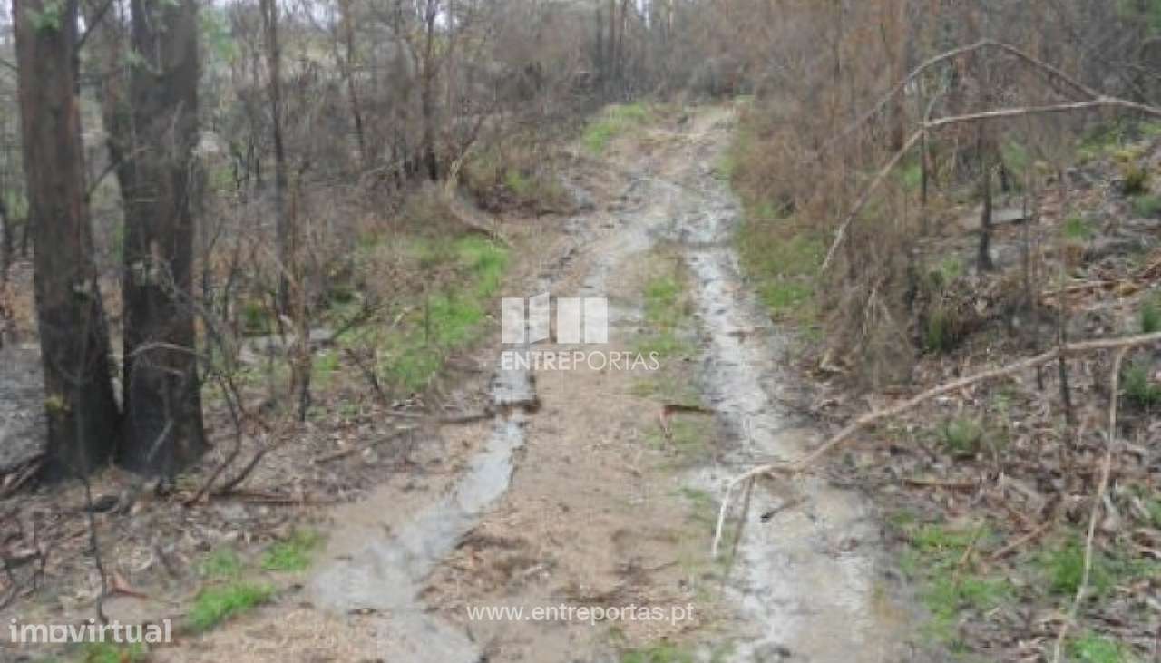 Venda Terreno, Várzea de Ovelha e Aliviada, Marco de Canaveses - Grande imagem: 2/7