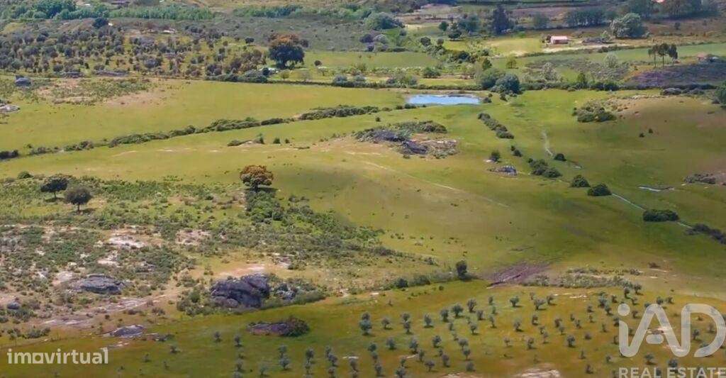 Prédio em Monsanto e Idanha-a-Velha de 1682,00 m2 - Grande imagem: 4/25