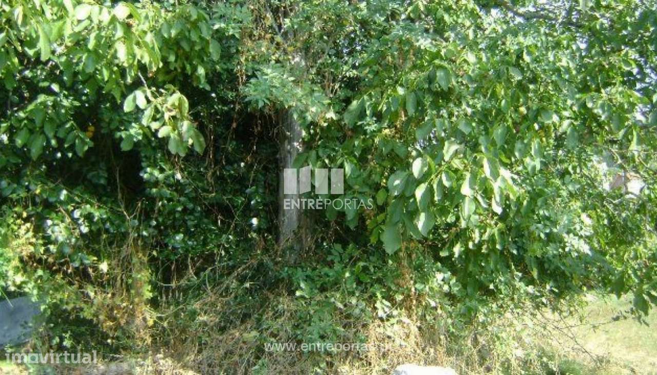 Venda Terreno com área de 9800 m2, Gove, Baião - Grande imagem: 4/10