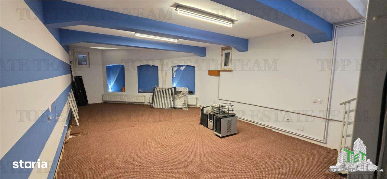 Casa individuala de vanzare – zona Domenii-10