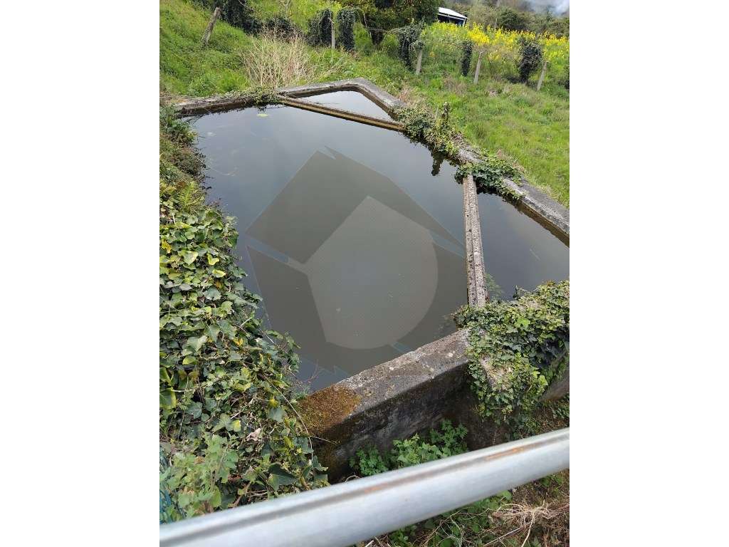 TERRENOS PARA CONSTRUÇÃO E CULTURA-9