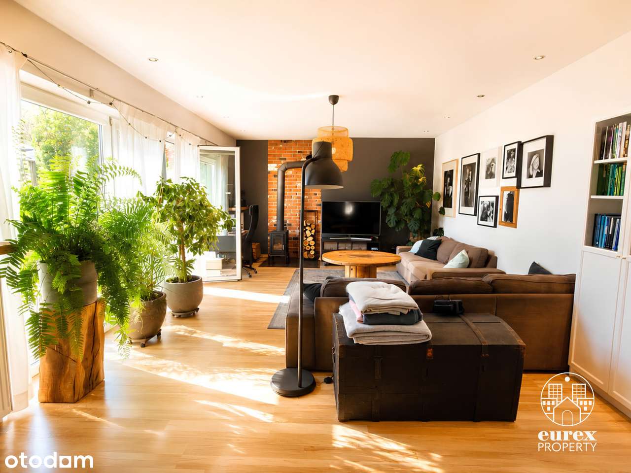 Dom 250 m², 2 niezależne mieszkania, ogród 760 m² - Zdrowie