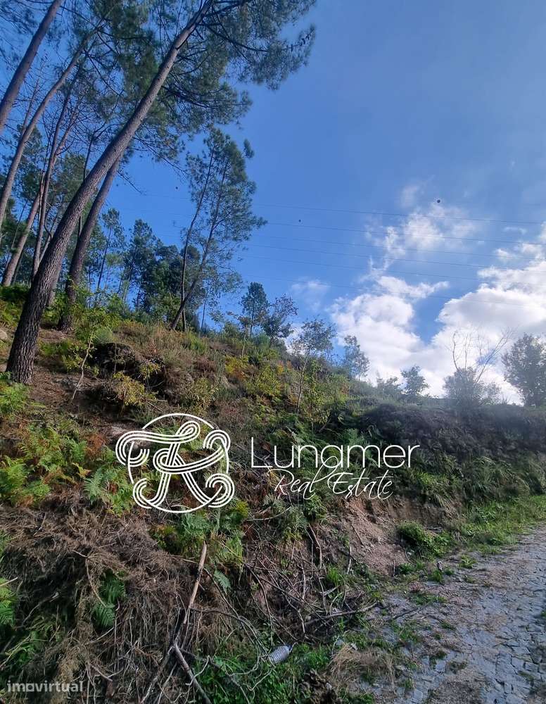 Conjunto de Terrenos em Louredo, Vieira do Minho - Grande imagem: 5/6