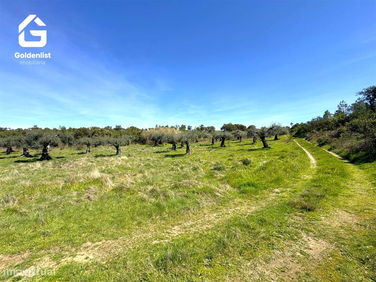 Herdade  Venda em Penamacor,Penamacor-29