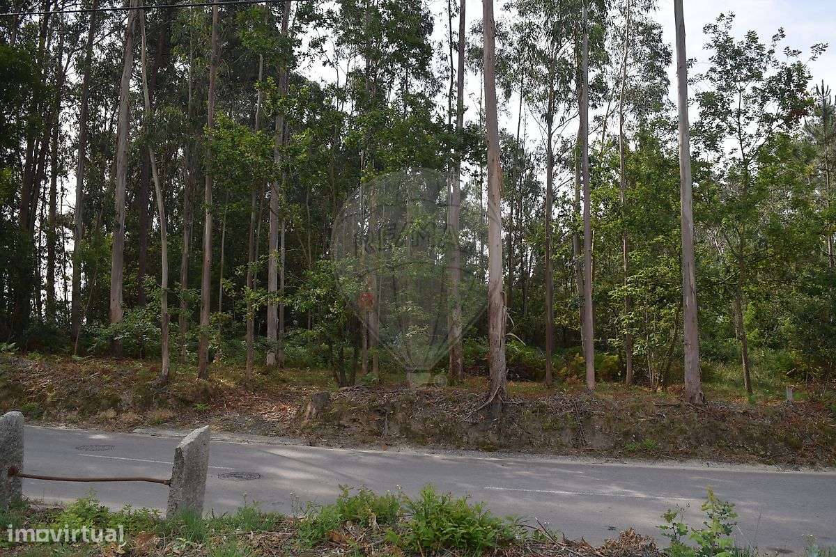 Terreno  para venda-2