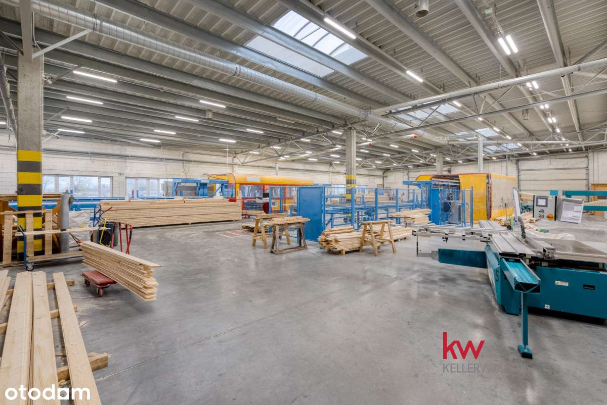 Hala, magazyn z biurami w Młodasku. - Pełny obrazek: 5/20