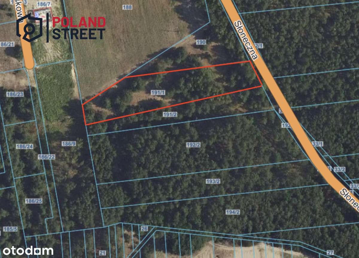 Duża i urokliwa działka 25 min od  Warszawy-3