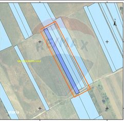 Teren Intravilan Arabil 7500 mp | Bolintin-Vale / Strada Poarta Luncii - Imagine principală: 5/5