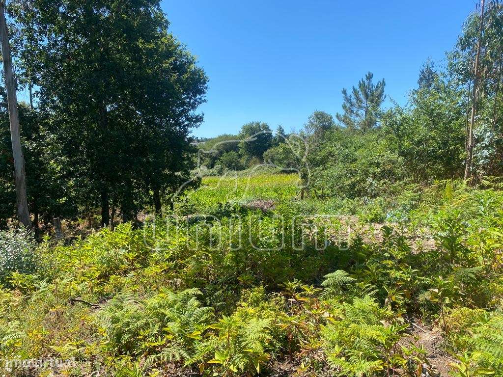 Terreno Fragoso - Grande imagem: 3/6