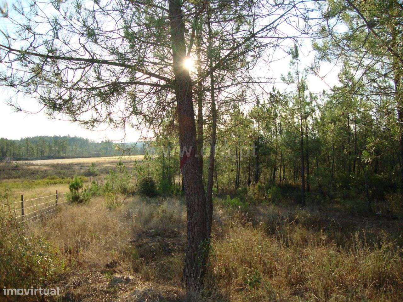 Terreno - Grande imagem: 2/5