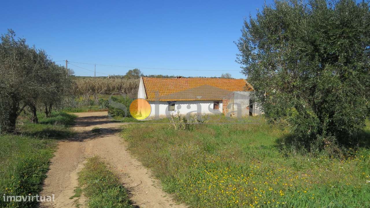 Quinta com duas habitações em Sta. Catarina - Alcácer do Sal-5
