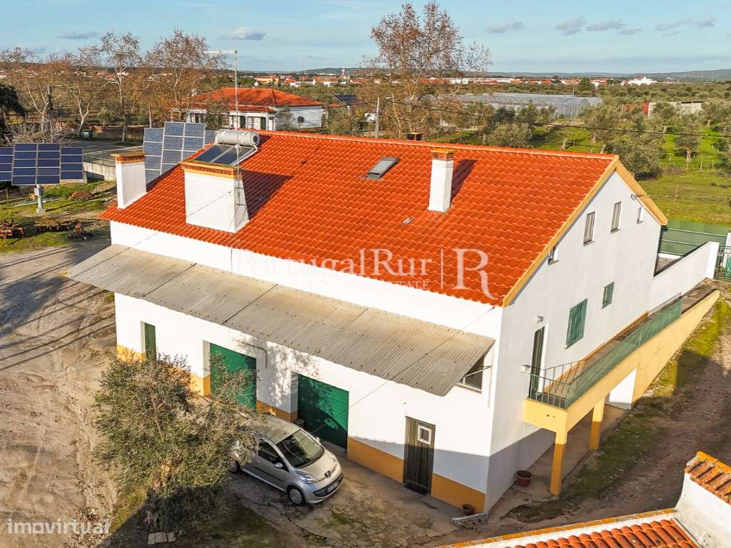 Unidade Industrial de Produção de Azeite & Elevado Potencial Produtivo-10