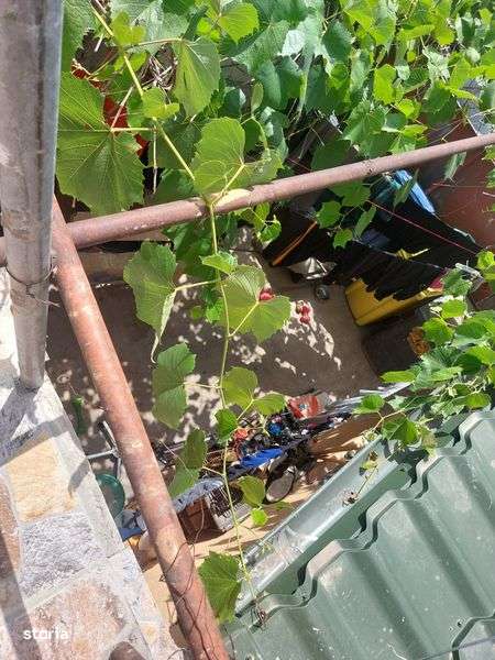 Casa zona Brestei - Imagine principală: 5/8