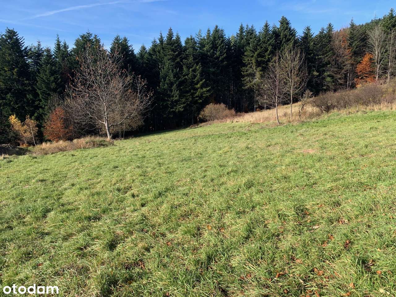 Piękna Działka Budowlana z Widokiem na Babią Górę - Pełny obrazek: 4/11