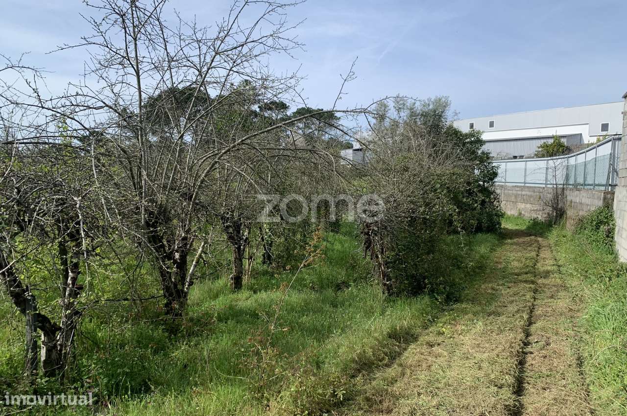 Terreno Urbanizável - Grande imagem: 2/16