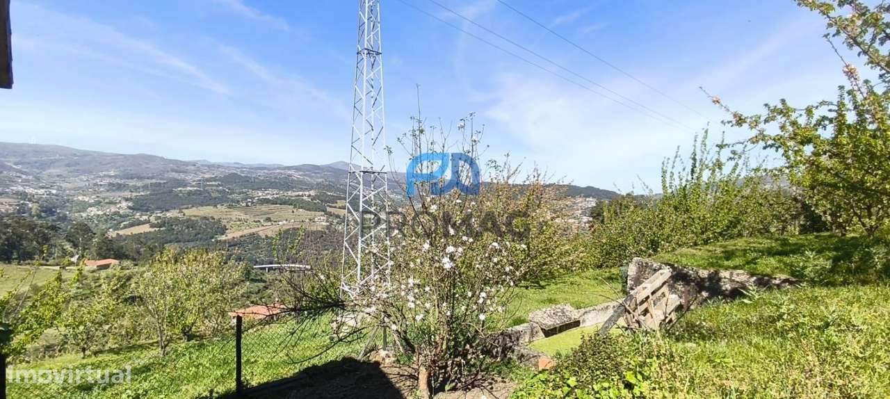 Quinta do Valado- Excelente Investimento em Resende-54