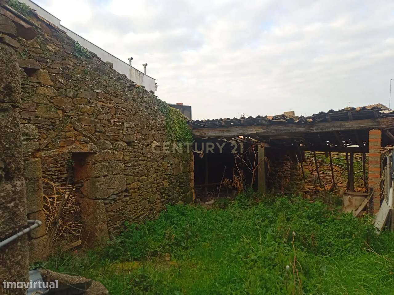 Palheiro em Palvarinho, Salgueiro do Campo,Castelo Branco - Grande imagem: 5/11