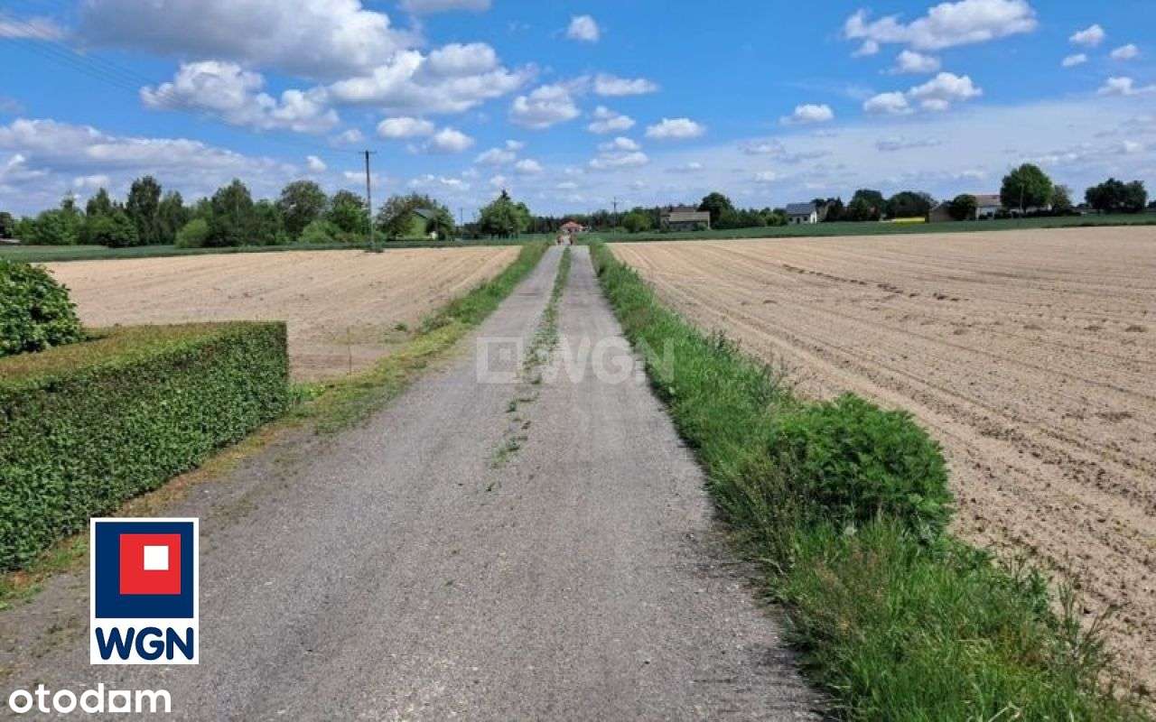 Siedlisko W Pobliżu Torunia-16