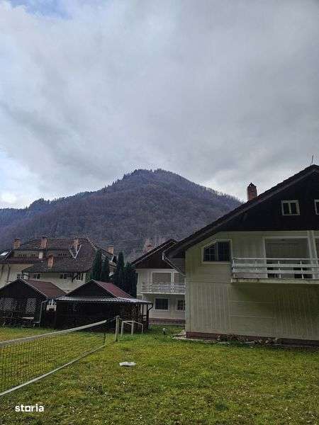 Vand Cabana Muntii Retezat Gura Zlata - Imagine principală: 4/8