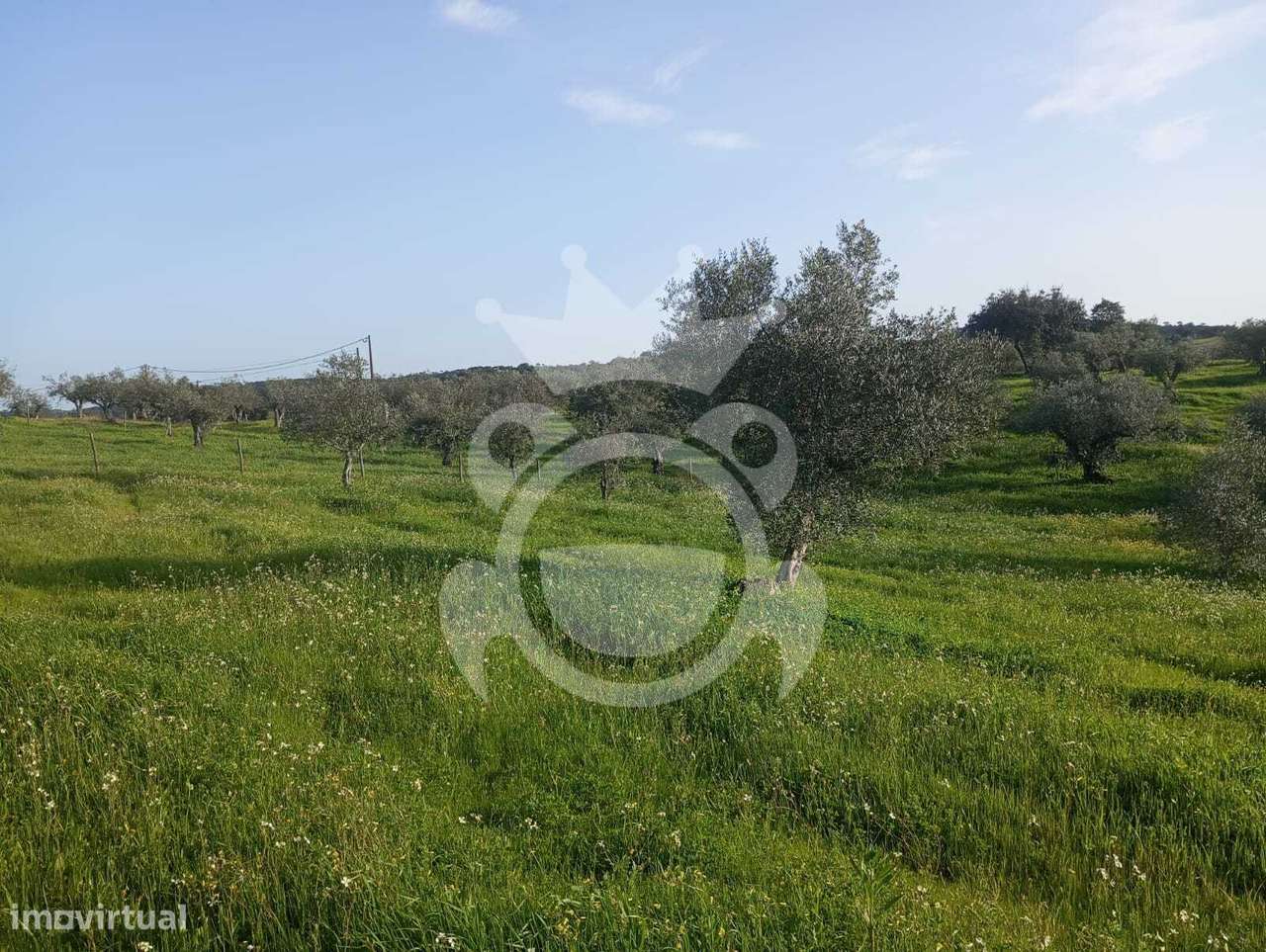 Terreno à venda – 2.500 m² em Alqueva-11