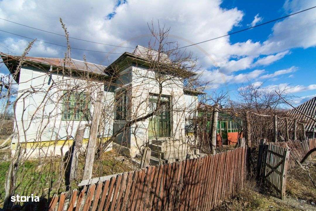 Casa traditionala argeseana – comuna Vedea, jud. Arges - Imagine principală: 4/12