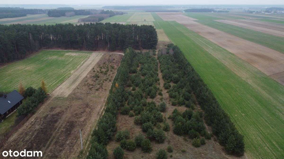 Działka budowlana z lasem-15