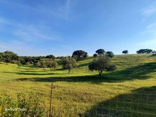 Herdade com 57,1750ha de terreno.