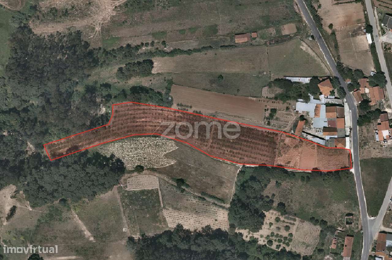 Terreno c/ Projeto Aprovado - Salir de Matos - Grande imagem: 4/17