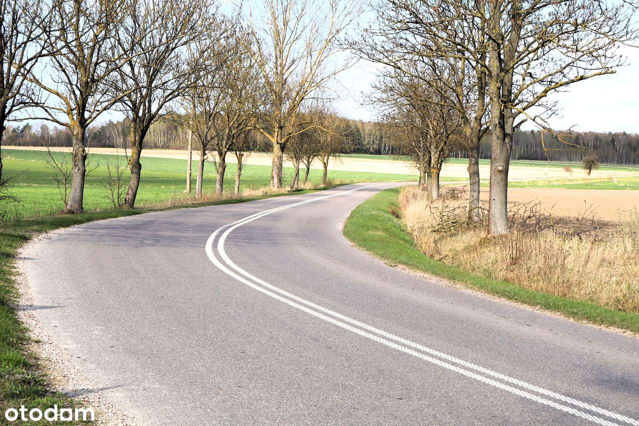 Ziemia rolna pod inwestycje, bez MPZP, gmina Przesmyki - Pełny obrazek: 5/6