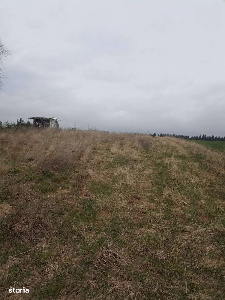 De vânzare teren intravilan în Lacul Reci-9