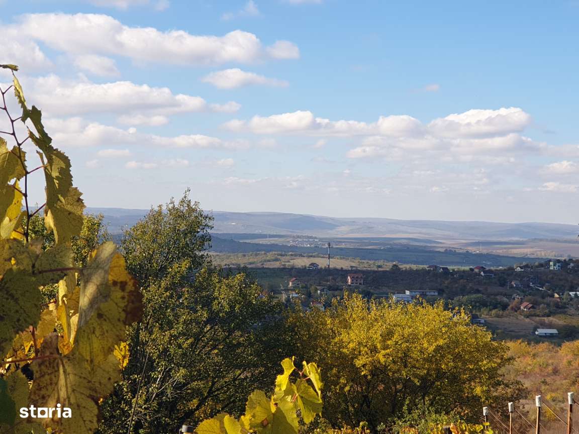 Teren intravilan ideal constructie casa - Pietraria - Barnova – IASI-5