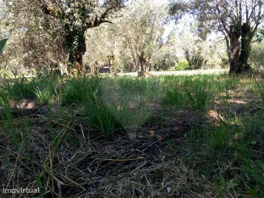 Terreno  para venda - Grande imagem: 4/7