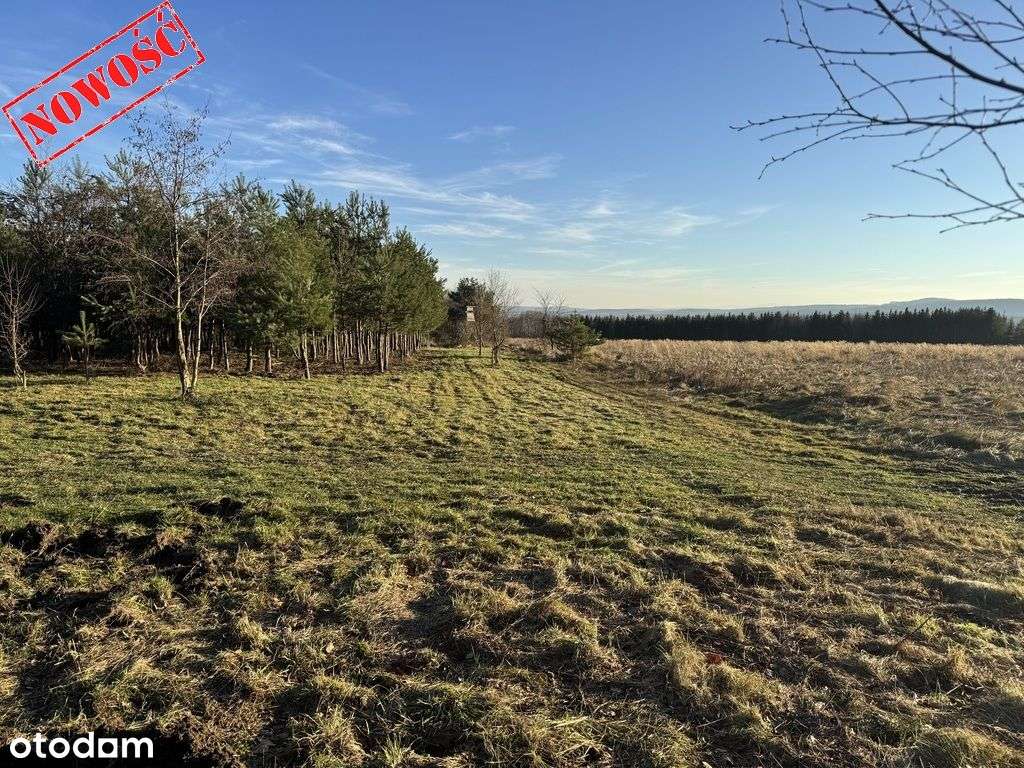 Działka budowlana 8500m2 (Ml), Słupice-3