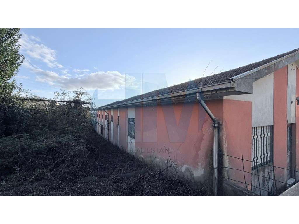 Moradia Térrea T3 para Renovação com Terreno urbano de 3.000 m² - F...-13