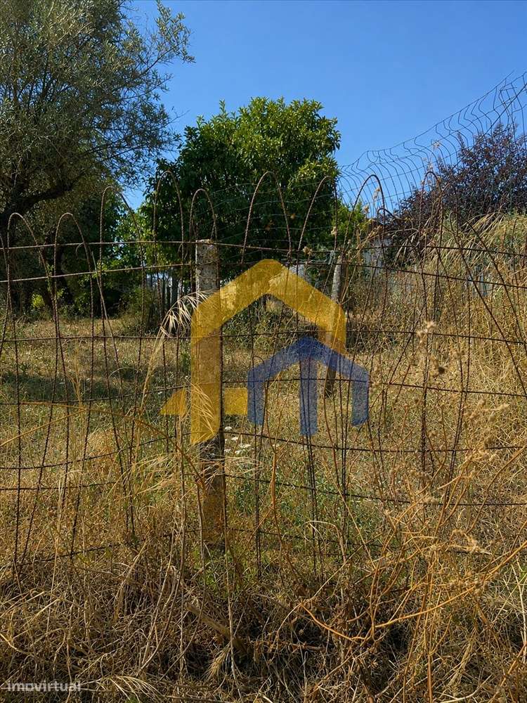 Quintinha para Recuperação Total em Glória – Estremoz-39