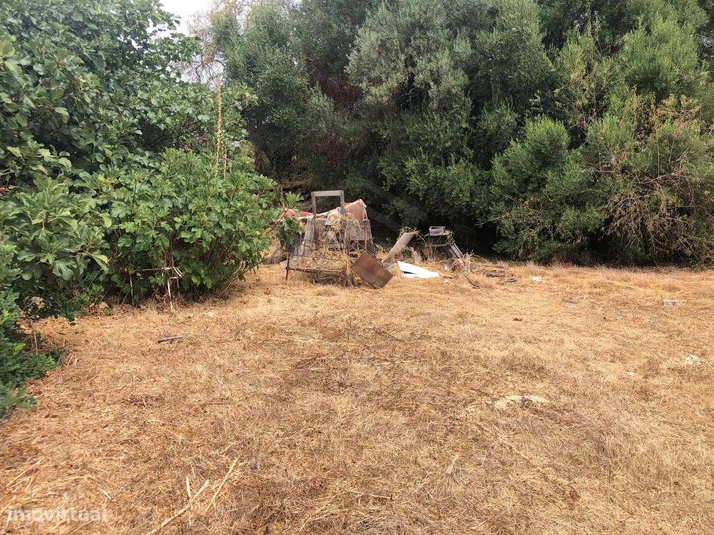 Terreno rústico em malha urbana, Salir, Algarve - Grande imagem: 4/11