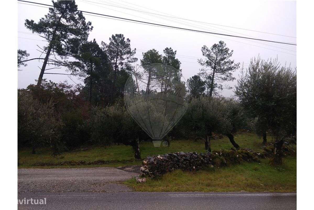 TERRENO PARA CONSTRUÇÃO - Grande imagem: 3/3