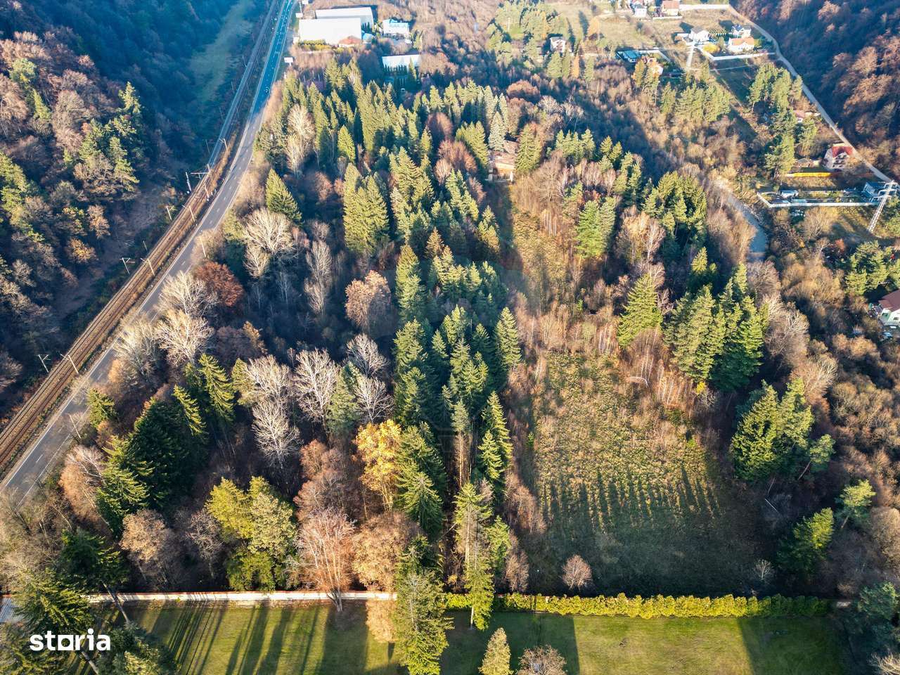 Teren constructii 10,000mp Timisul de Jos , PARCELABIL min 250 mp-5