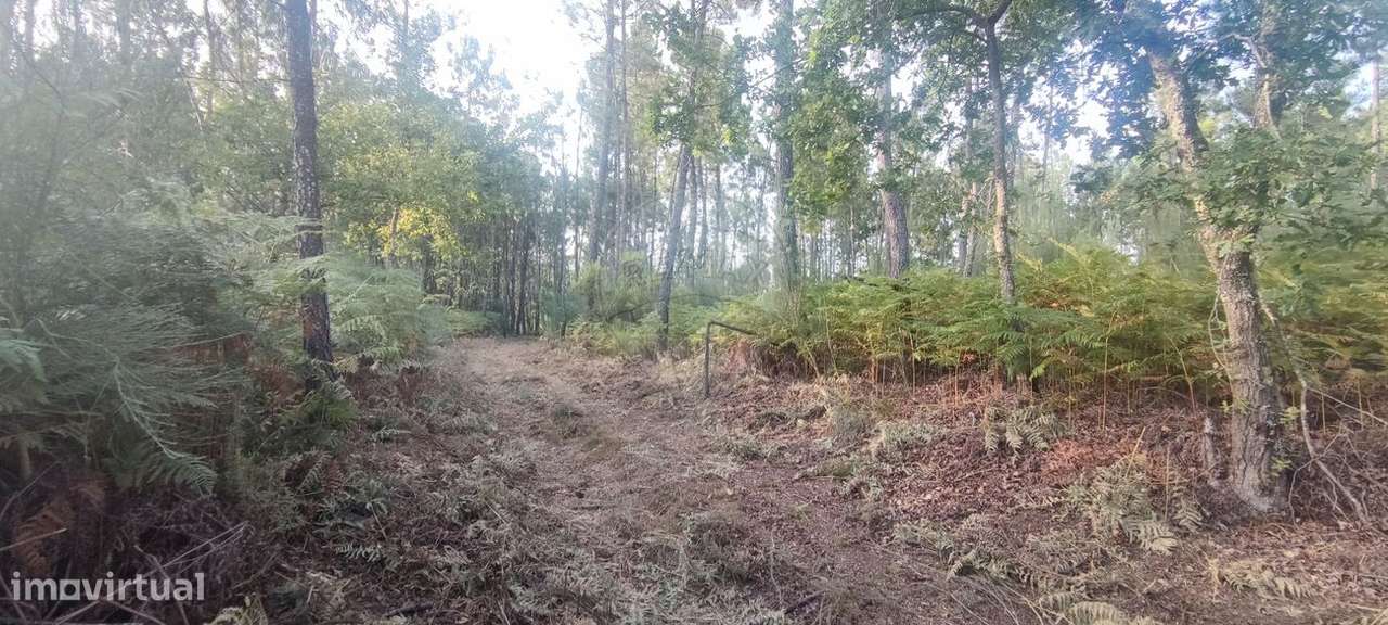 Terreno  para venda - Grande imagem: 5/8