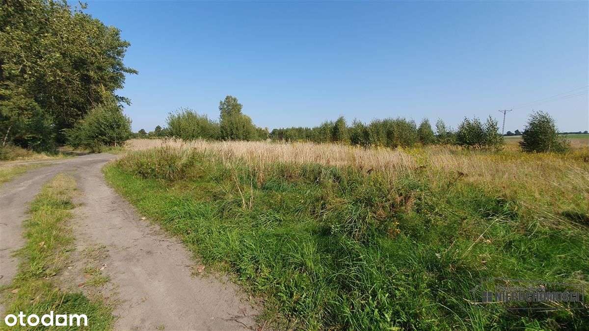 Bielikowo - działka na raty - około 20 minut od Ba-16