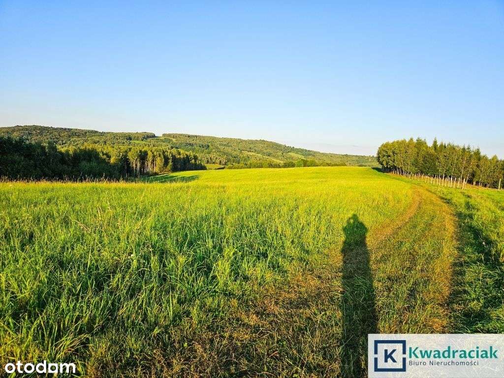 Działka w Lutczy idealna pod Inwestycję – 4,48 ha-10