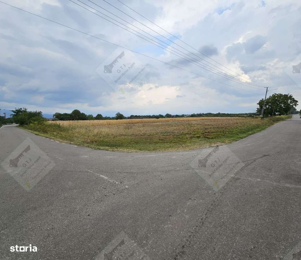 Terenuri Intravilan Bolotesti-Putna Suprafata Loturi cca 740mp - Imagine principală: 5/7